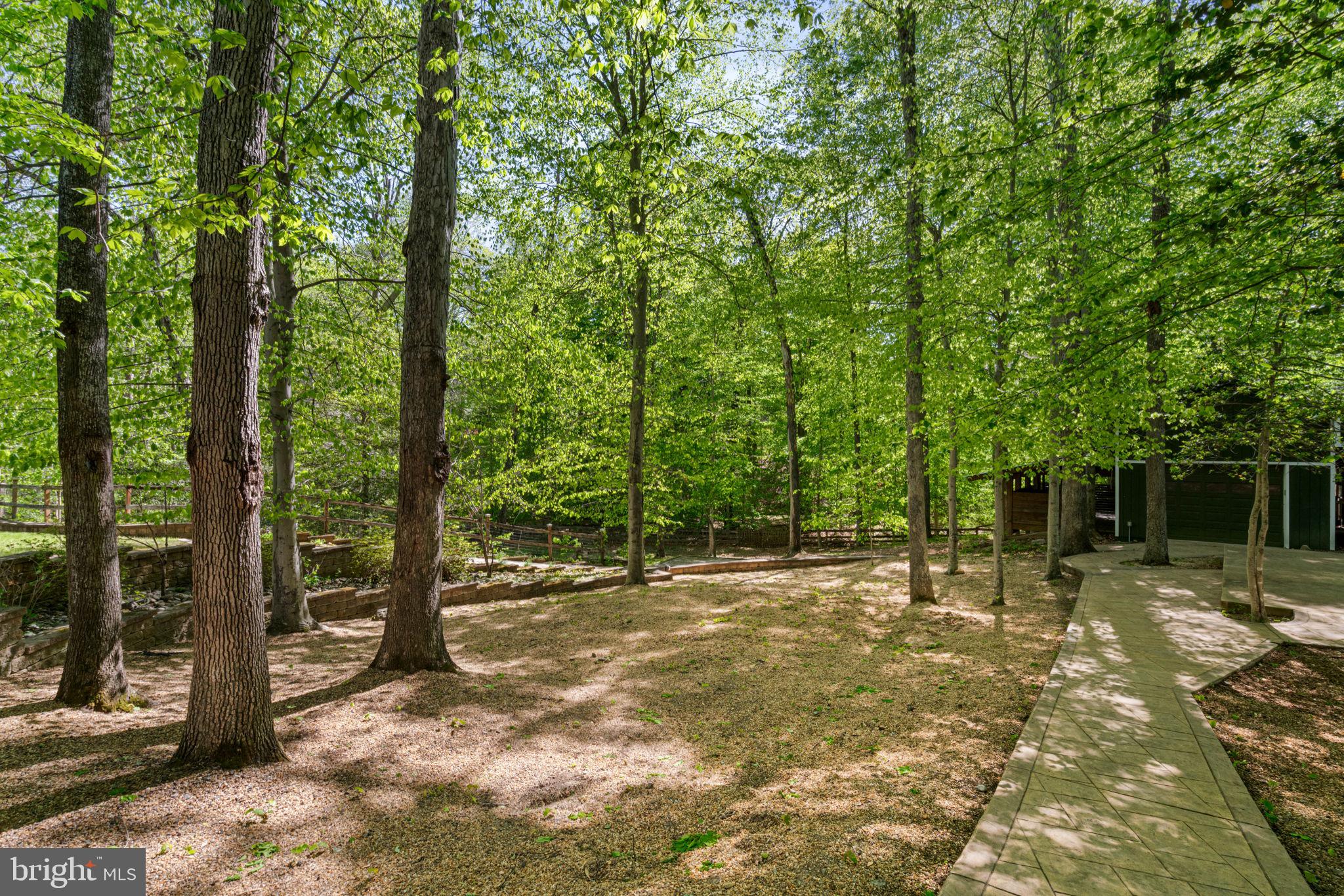 12522 Spring Drive Manassas, VA 20112 - Photo 67 of 69 Serene wooded retreat awaits you.