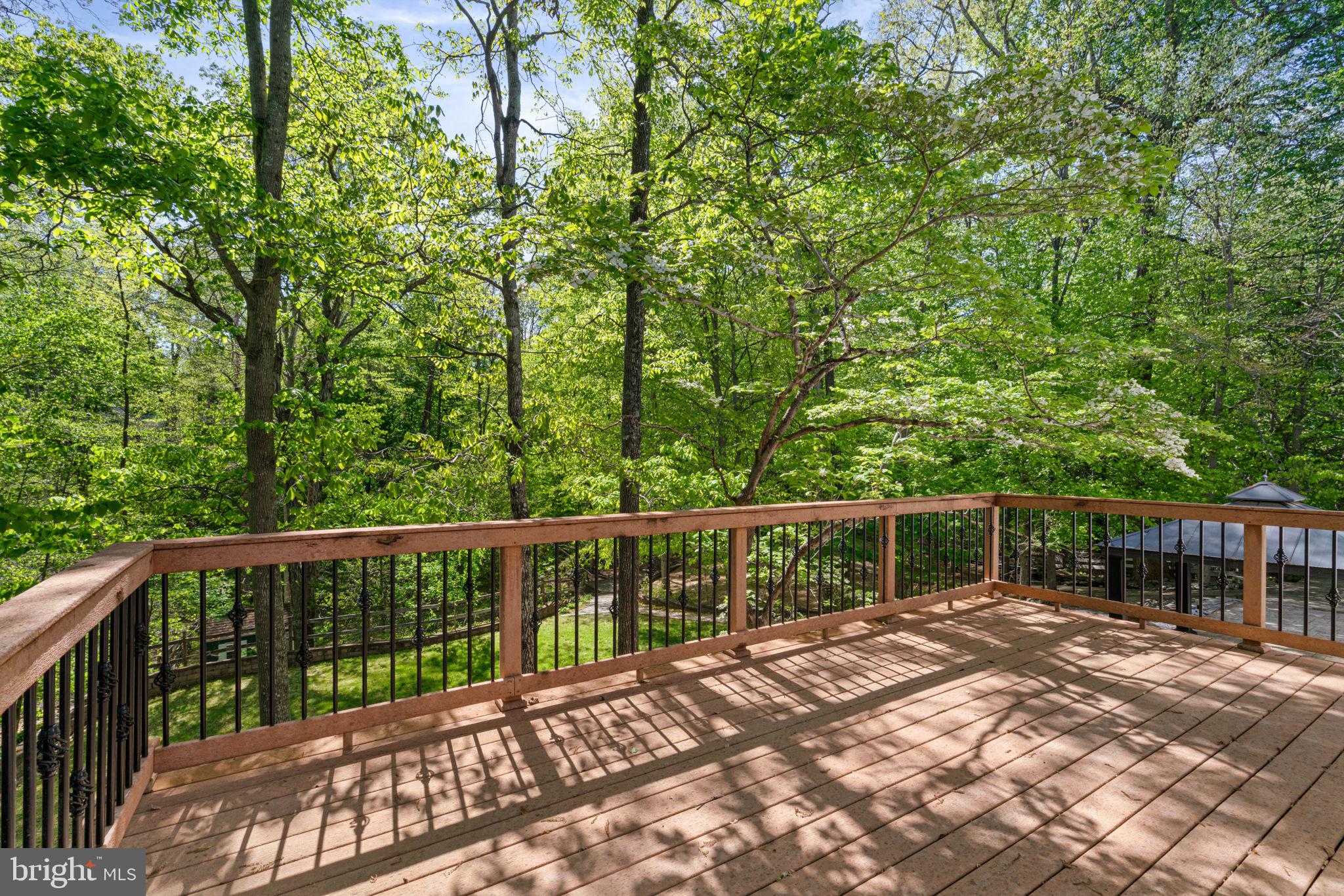 12522 Spring Drive Manassas, VA 20112 - Photo 69 of 69 Serene deck overlooking lush greenery.