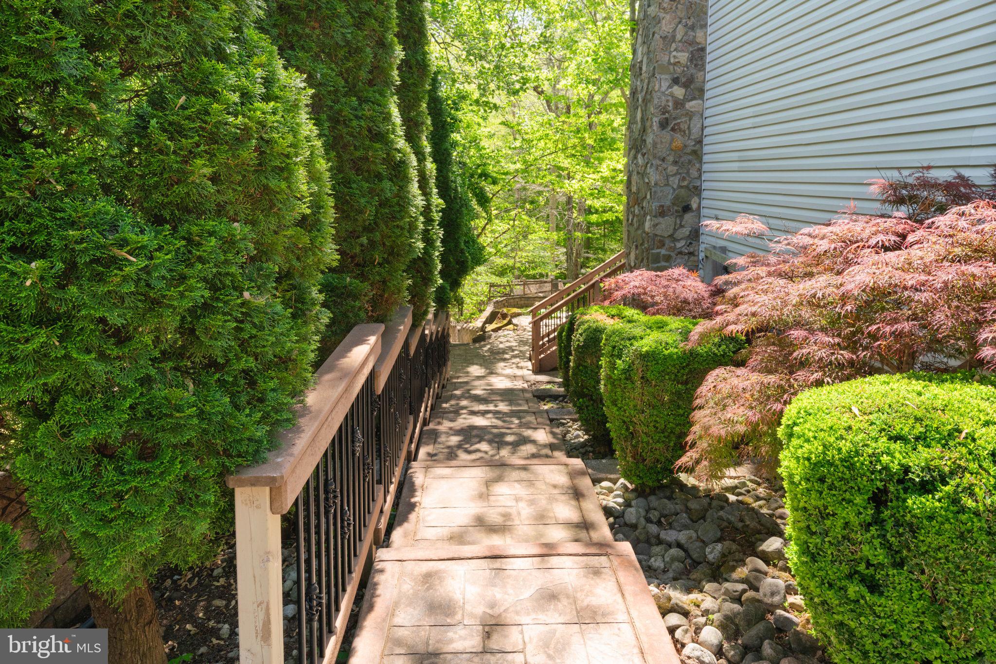 12522 Spring Drive Manassas, VA 20112 - Photo 8 of 69 Serene pathway through lush greenery.