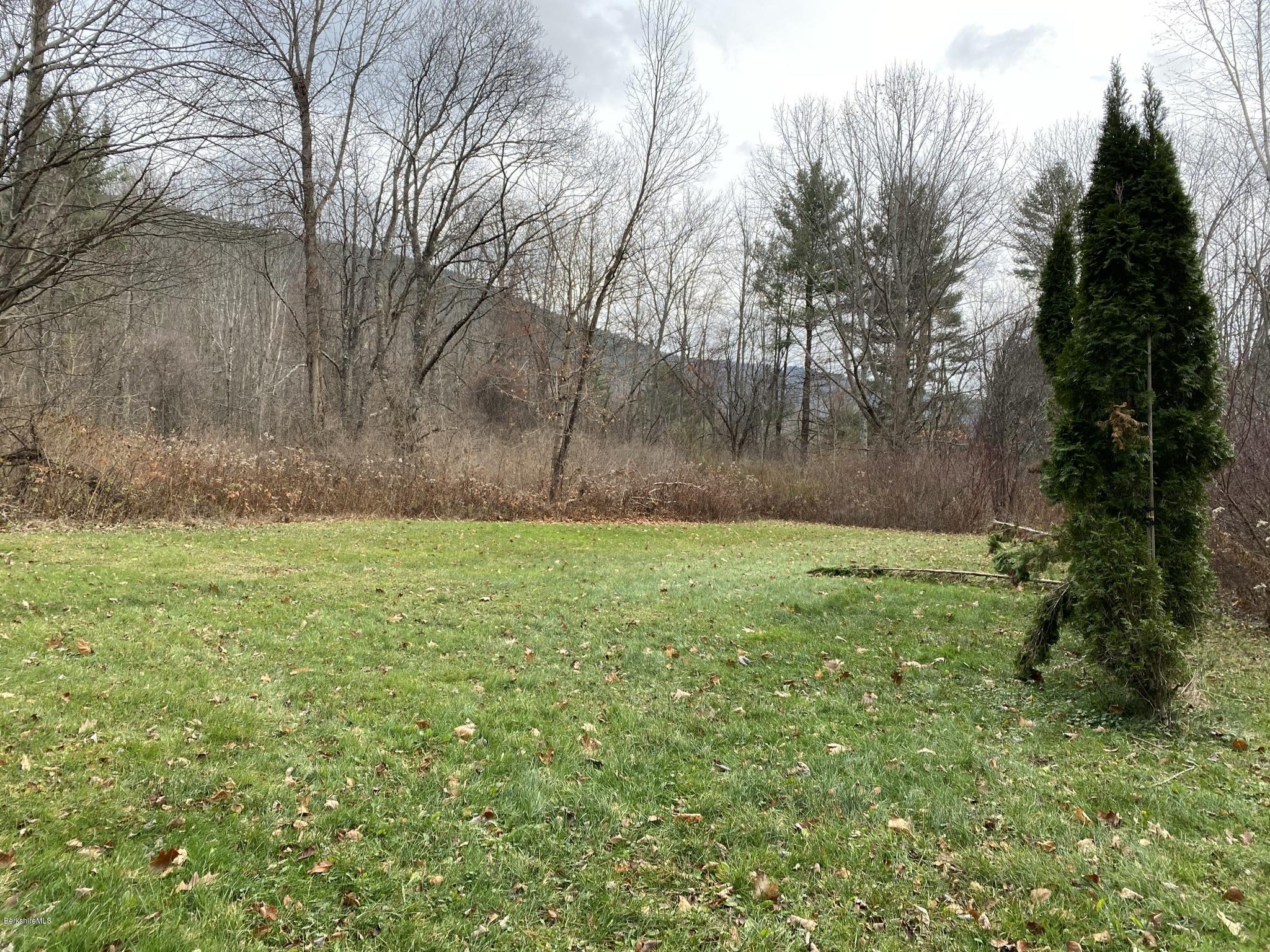 311 Swamp Road Richmond, MA 01201 - Photo 18 of 42 a view of yard with trees