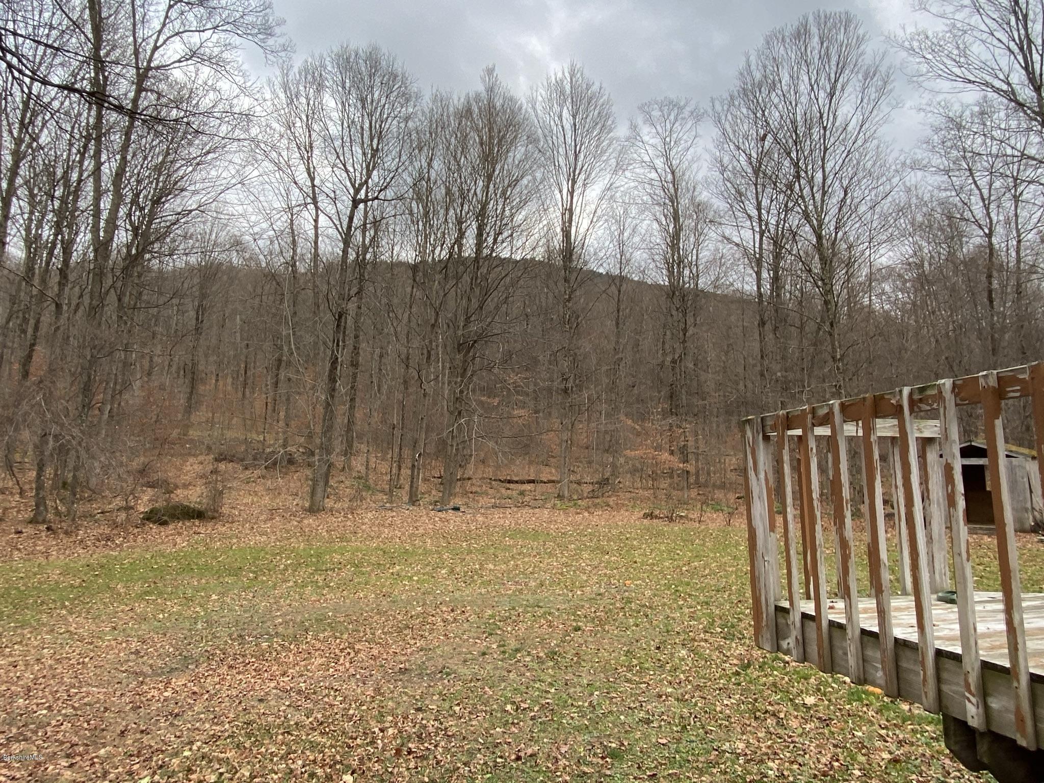 311 Swamp Road Richmond, MA 01201 - Photo 5 of 42 a view of outdoor space with trees
