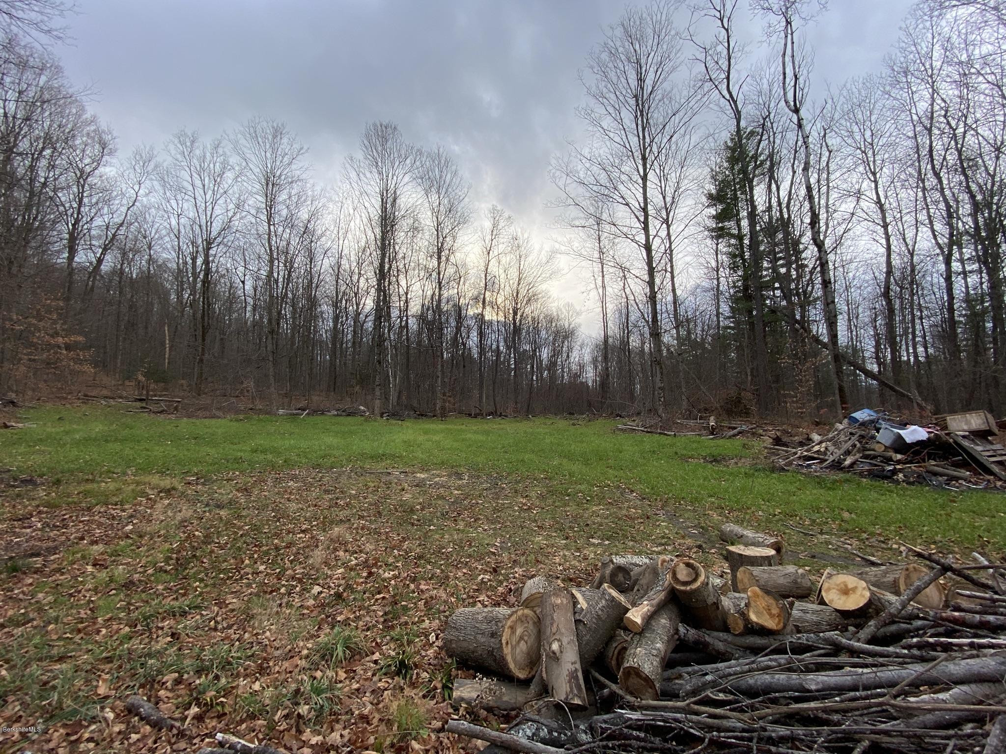 311 Swamp Road Richmond, MA 01201 - Photo 9 of 42 a view of a backyard with large trees
