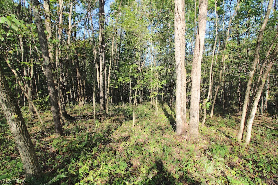 Horseshoe Bend Road Newcomerstown, OH 43832 - Photo 9 of 23 Gallery Image 9
