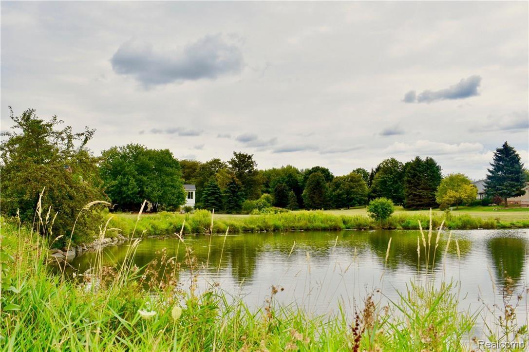 22435 Mill Road Novi, MI 48375 - Photo 31 of 33 pond.jpg