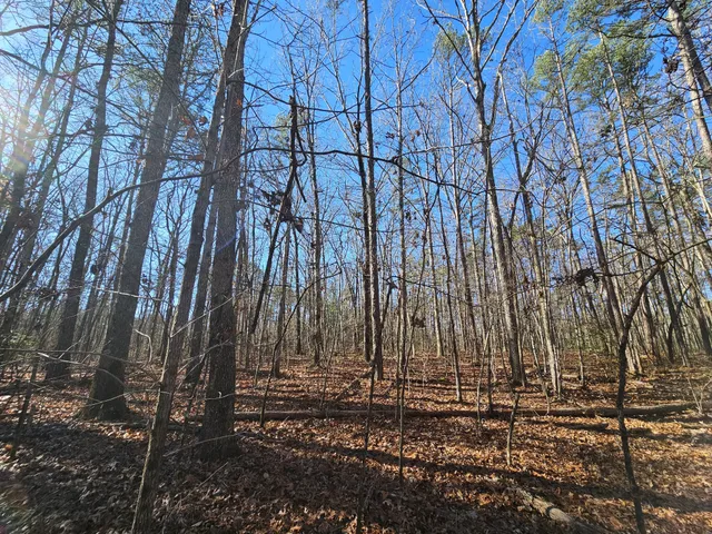 a view of backyard with green space