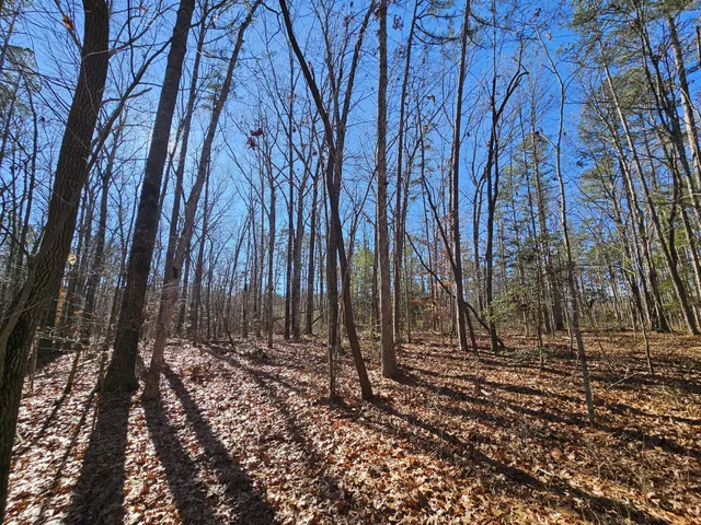 a view of a backyard of the house