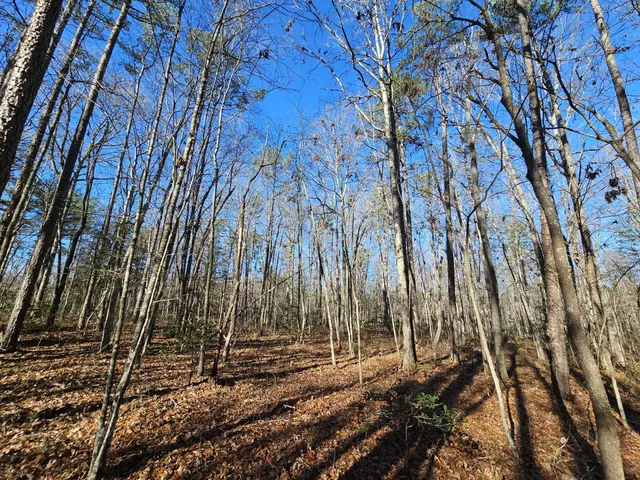 a view of outdoor space with trees