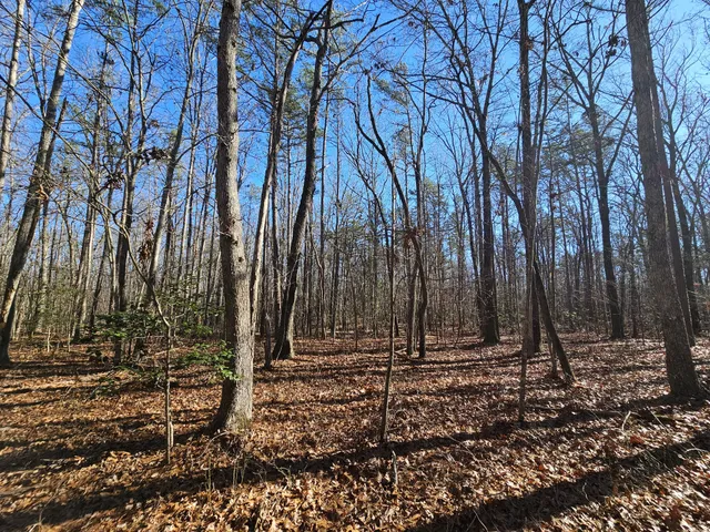 a view of a backyard of the house