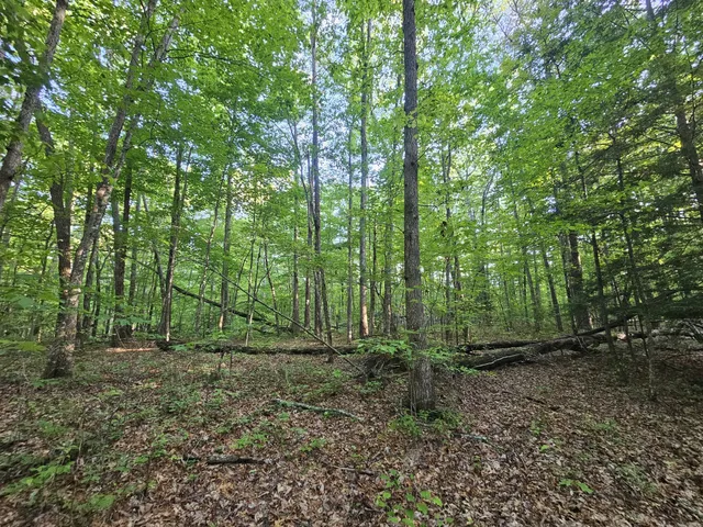 a view of outdoor space and green space