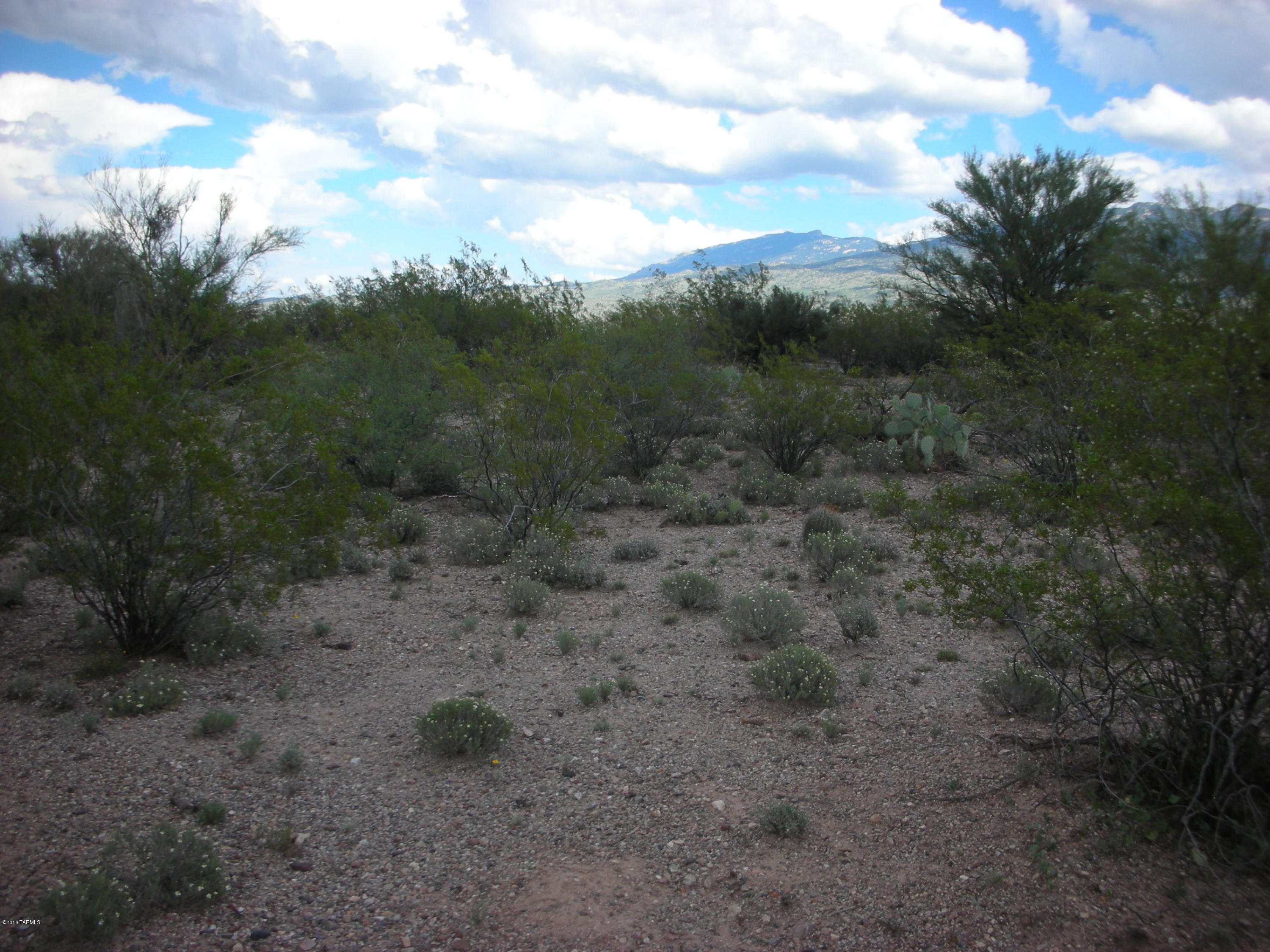 South Freeman Road Tucson, AZ 85748 - Photo 10 of 12
