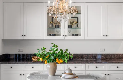 a potted plant sitting on a shelf with a kitchen