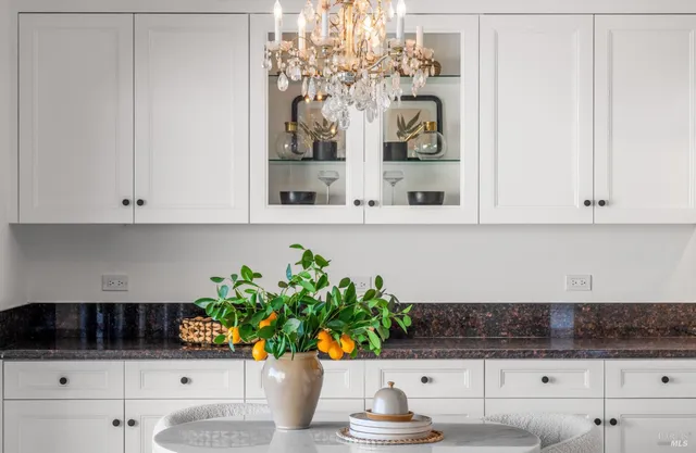 a potted plant sitting on a shelf with a kitchen