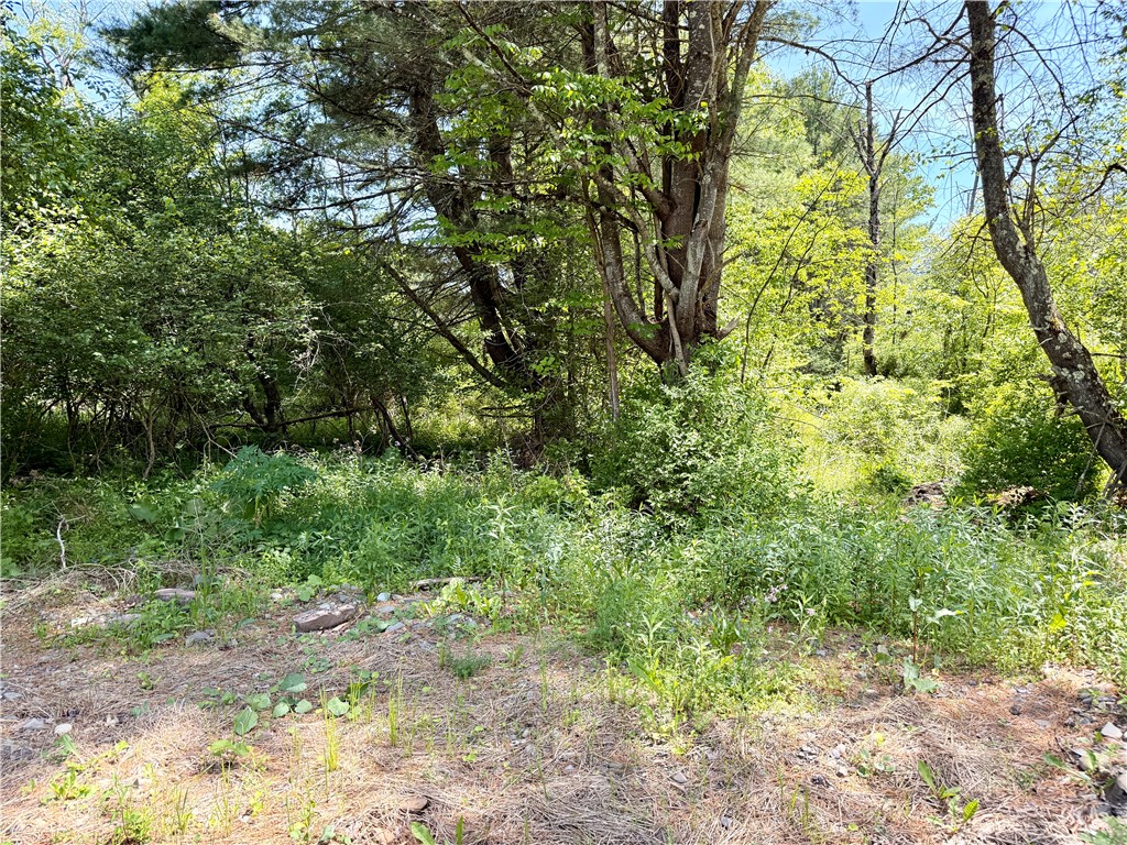 Copes Corners Road South New Berlin, NY 13843 - Photo 7 of 10