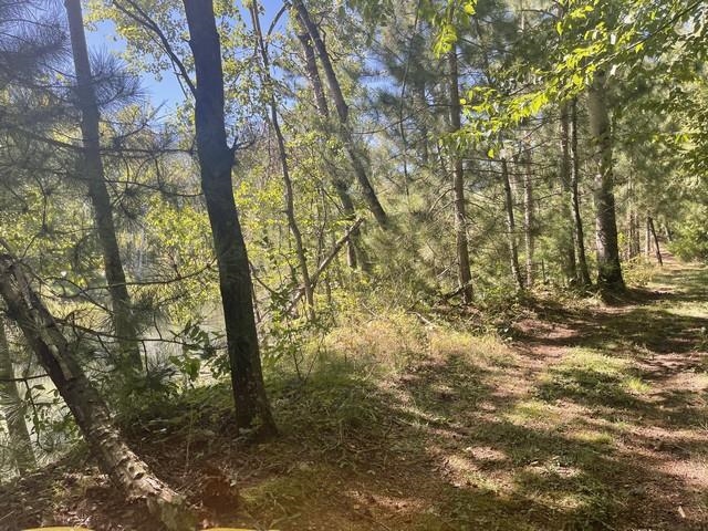 Lot 4 Skyview Road Mosinee, WI 54455 - Photo 11 of 17