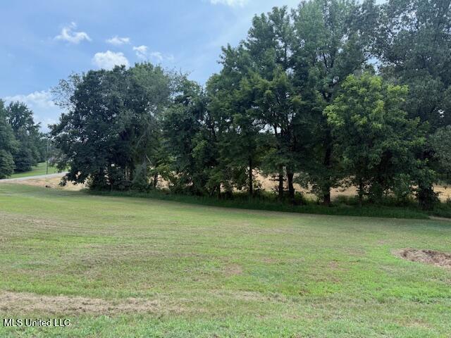 2 Ranch Road Hernando, MS 38632 - Photo 1 of 11 IMG_5181