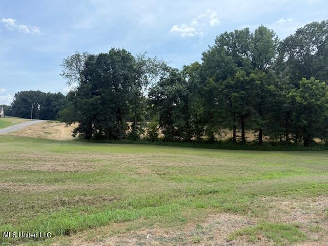 2 Ranch Road Hernando, MS 38632 - Photo 2 of 11 IMG_5180