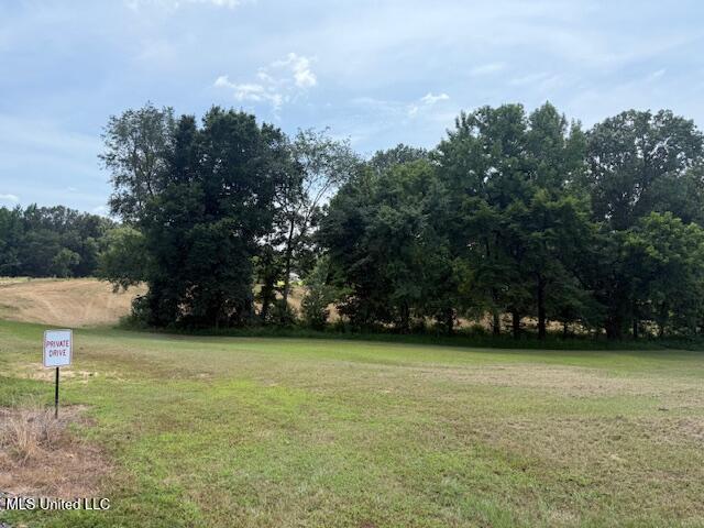 2 Ranch Road Hernando, MS 38632 - Photo 3 of 11 IMG_5179