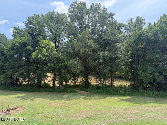 2 Ranch Road Hernando, MS 38632 - Photo 5 of 11 IMG_5183
