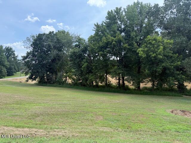 2 Ranch Road Hernando, MS 38632 - Photo 6 of 11 IMG_5182