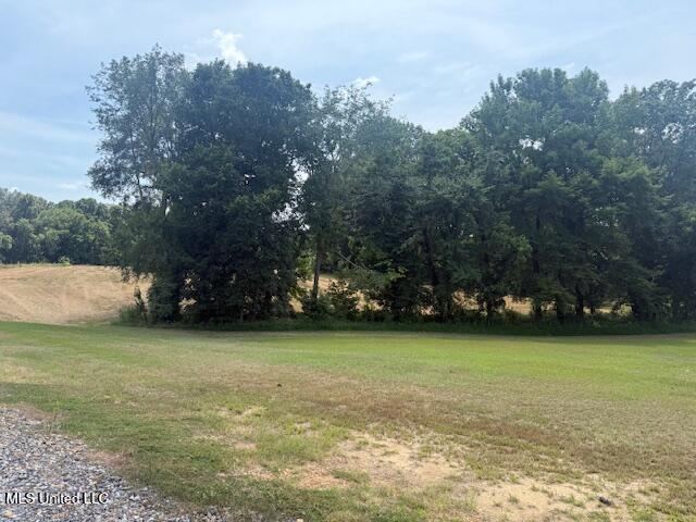 2 Ranch Road Hernando, MS 38632 - Photo 7 of 11 IMG_5178