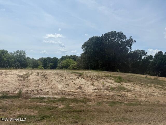 2 Ranch Road Hernando, MS 38632 - Photo 8 of 11 IMG_5177