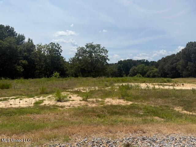 2 Ranch Road Hernando, MS 38632 - Photo 9 of 11 IMG_5176