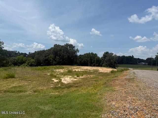 2 Ranch Road Hernando, MS 38632 - Photo 10 of 11 IMG_5175