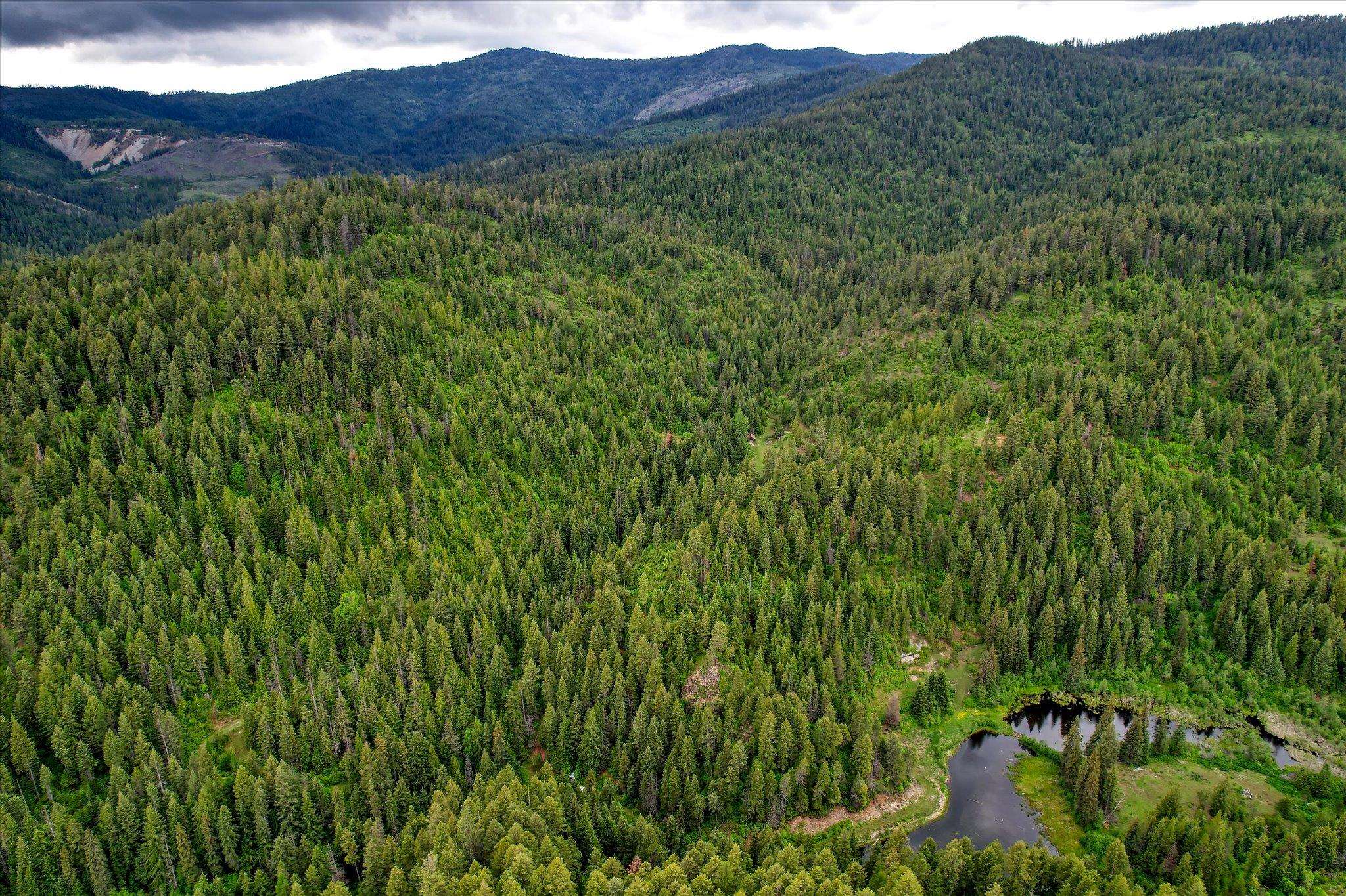 Xxx Red Marble Road Valley, WA 99181 - Photo 1 of 18