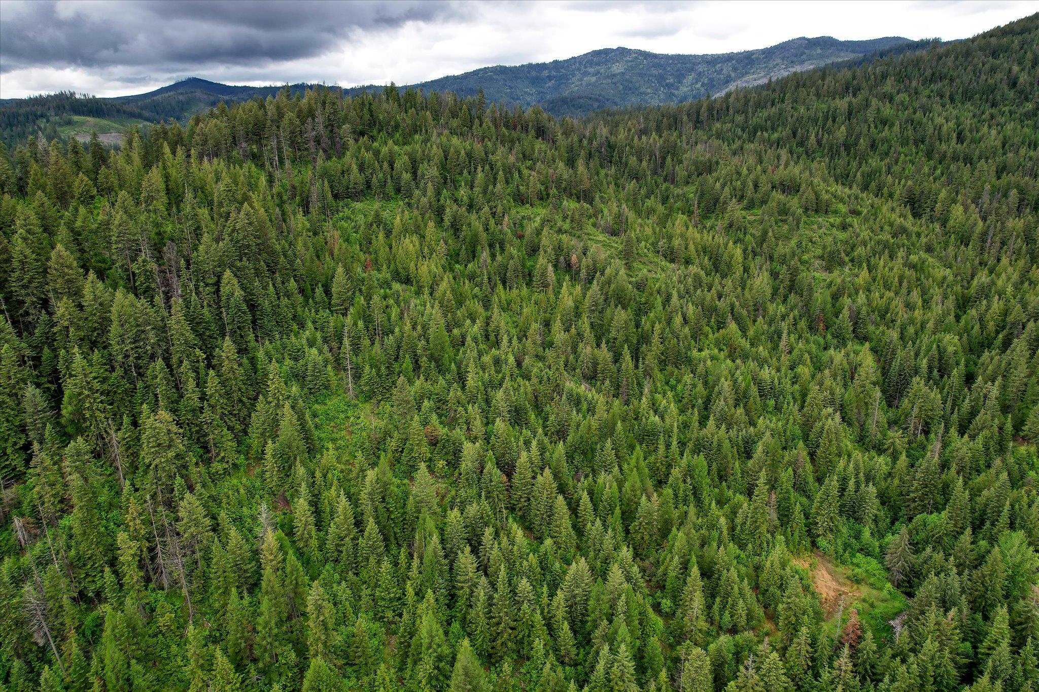 Xxx Red Marble Road Valley, WA 99181 - Photo 12 of 18