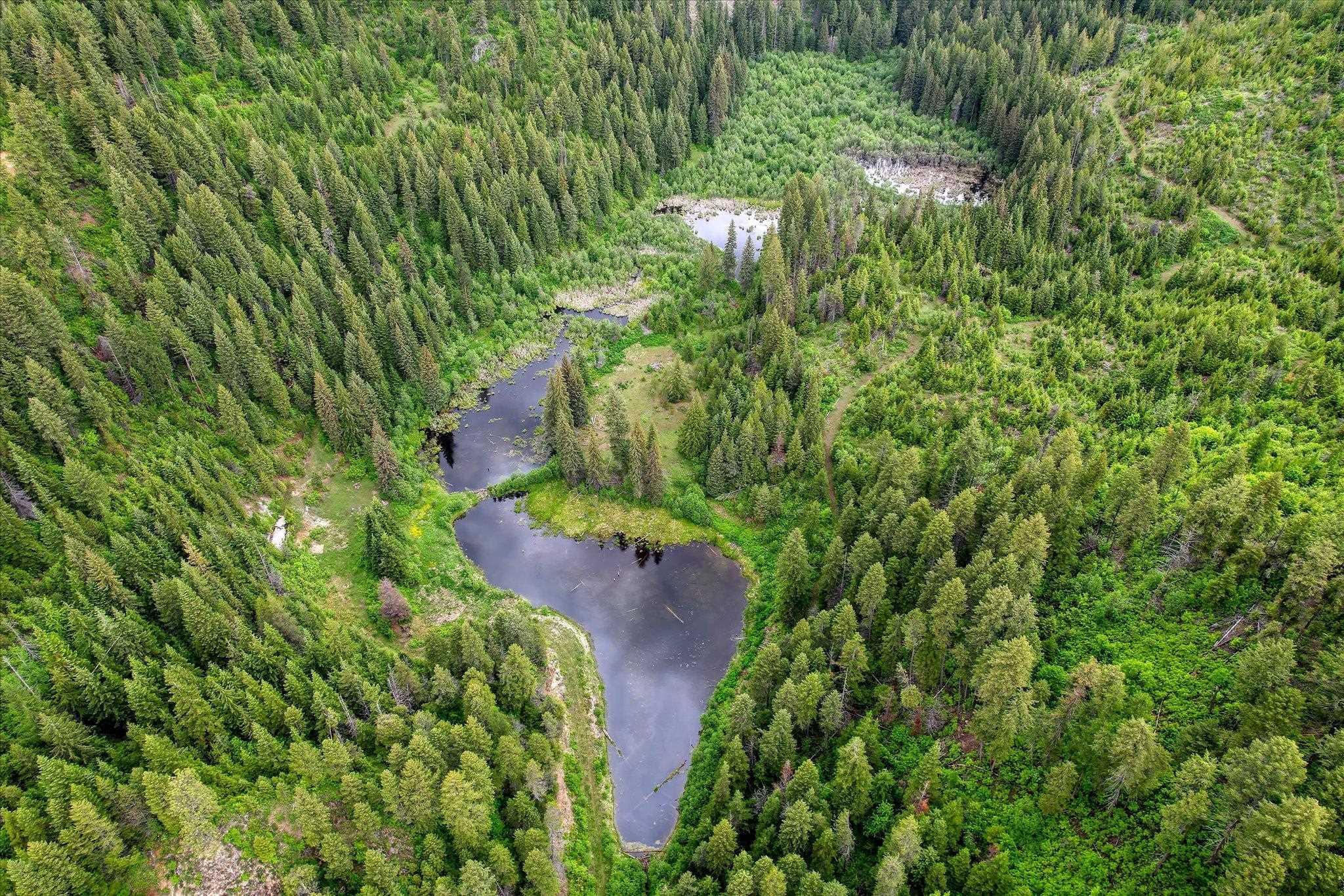 Xxx Red Marble Road Valley, WA 99181 - Photo 10 of 18
