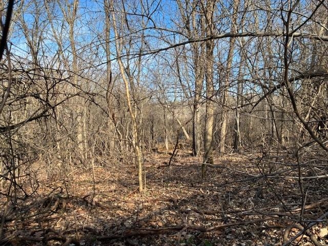 0 Marshall Road South Lyon, MI 48178 - Photo 12 of 17 50204625-8adb5300-08e8-4ce5-a8ee-a7037bdf2773.JPG