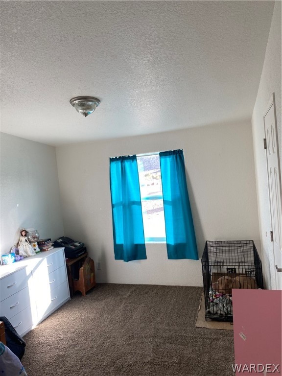 1789 Gleeson Road Golden Valley, AZ 86413 - Photo 26 of 41 Gallery Image 26