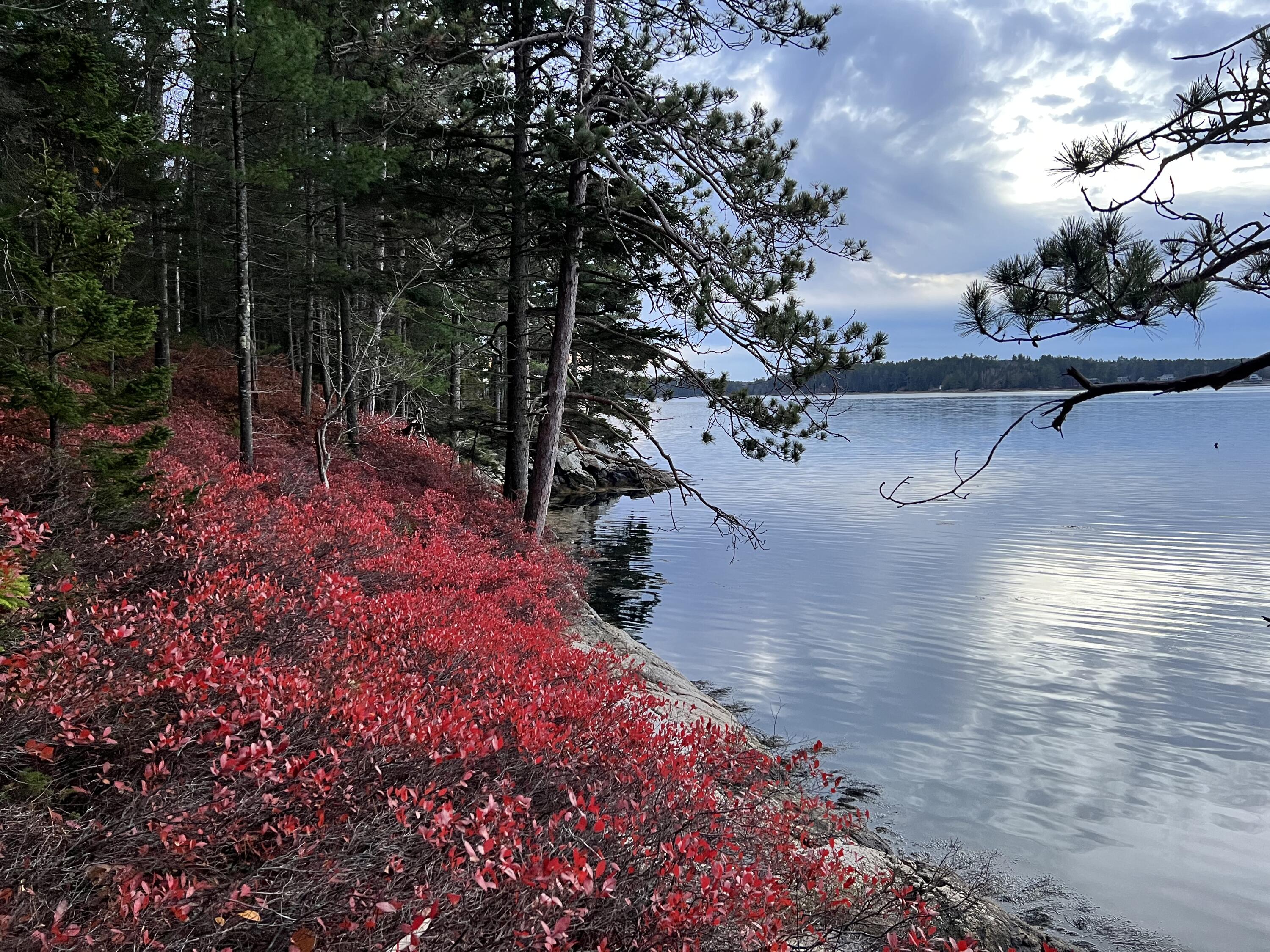 53 Abbot Cove Road West Bath, ME 04530 - Photo 16 of 17 Fall time