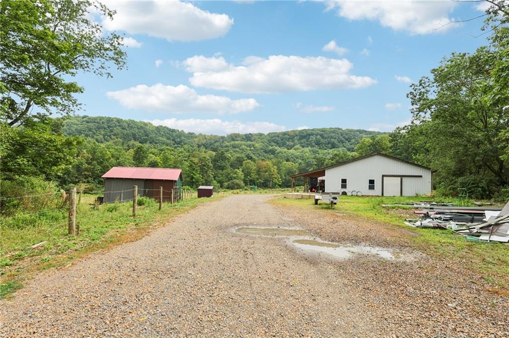 1056 Dora Road Punxsutawney, PA 15767 - Photo 18 of 50 a front view of a house with a yard and trees