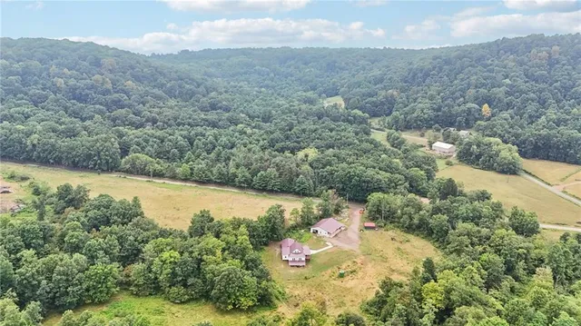 a view of a forest with a lake