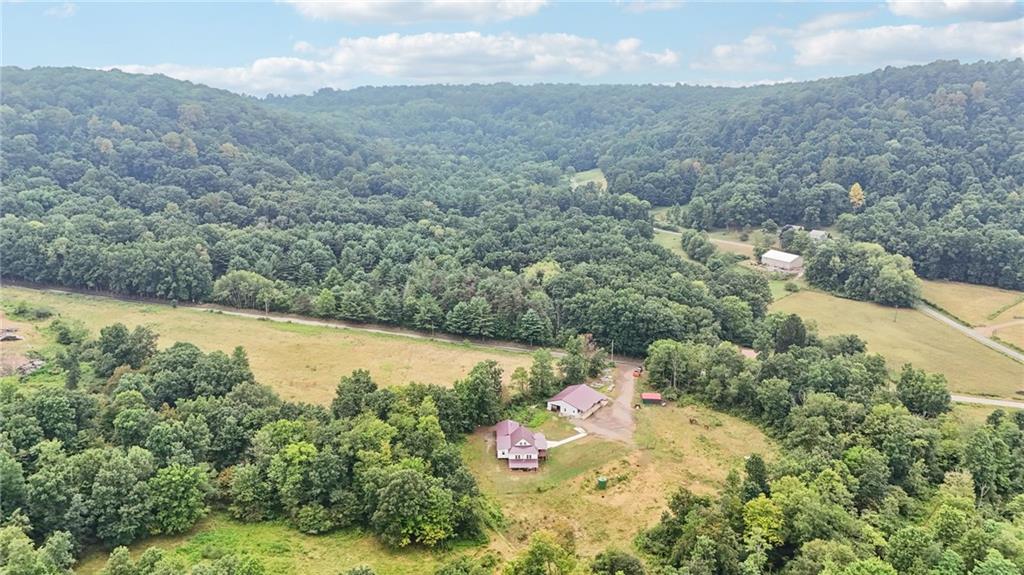 1056 Dora Road Punxsutawney, PA 15767 - Photo 19 of 50 a view of a forest with a lake