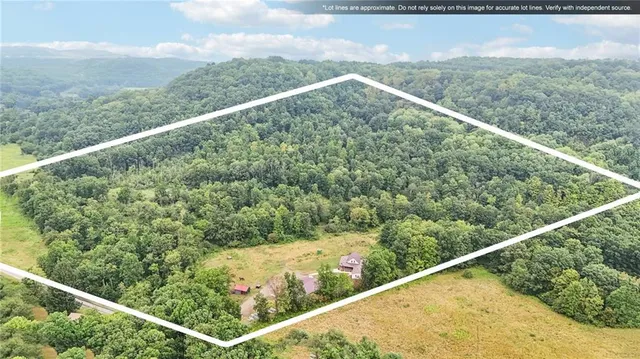 a view of a forest from a balcony