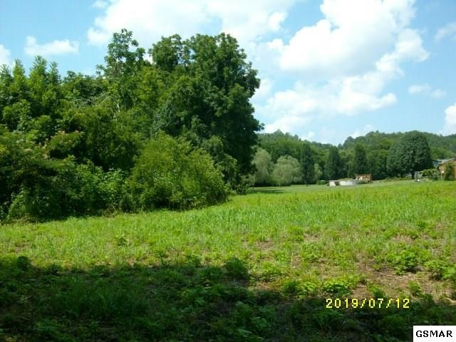 2 Rivers Edge Lane Sevierville, TN 37862 - Photo 10 of 12 Gallery Image 10