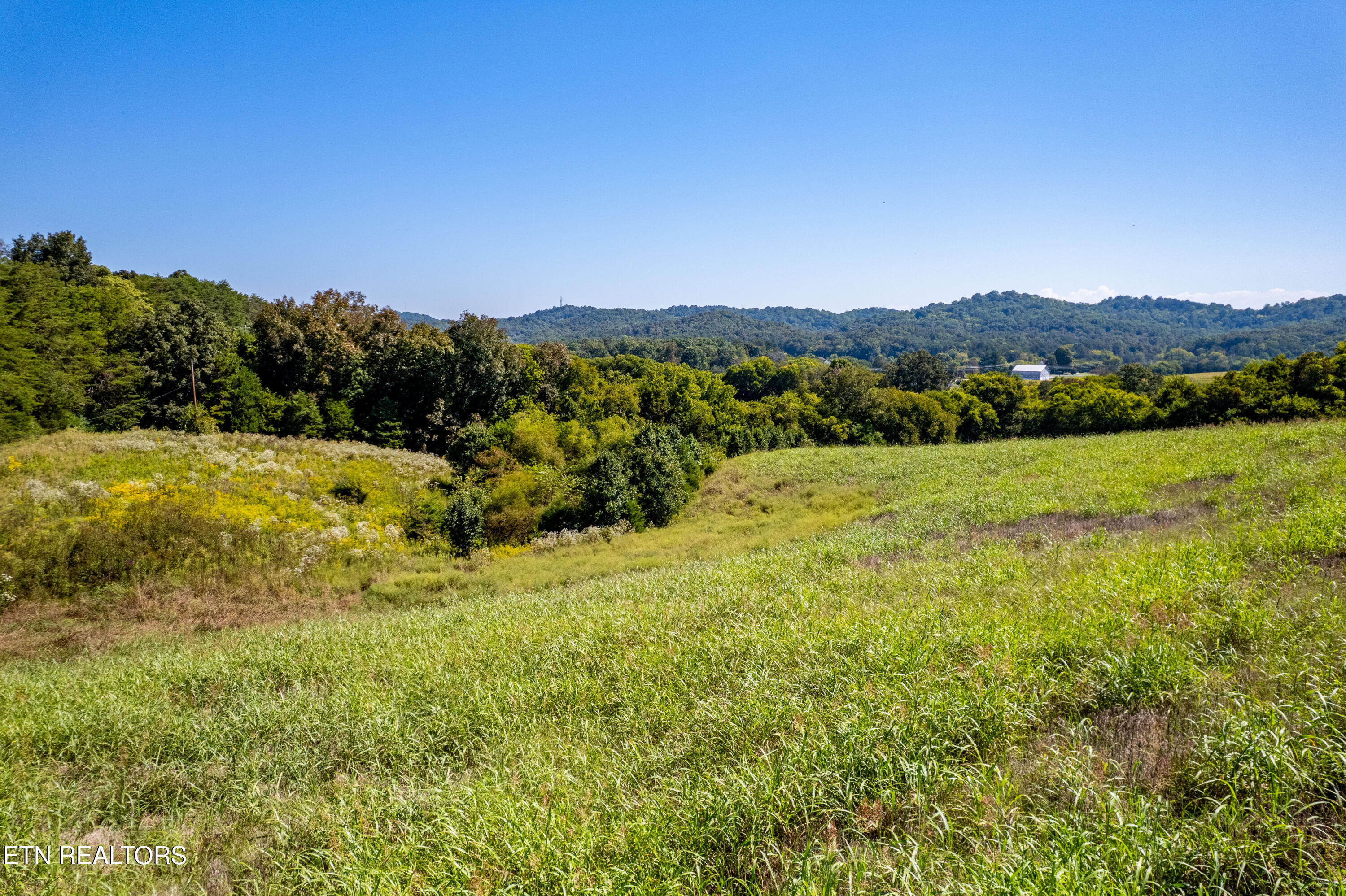 National Campground Road Greenback, TN 37742 - Photo 6 of 35 170NationalCampgroundRd-4