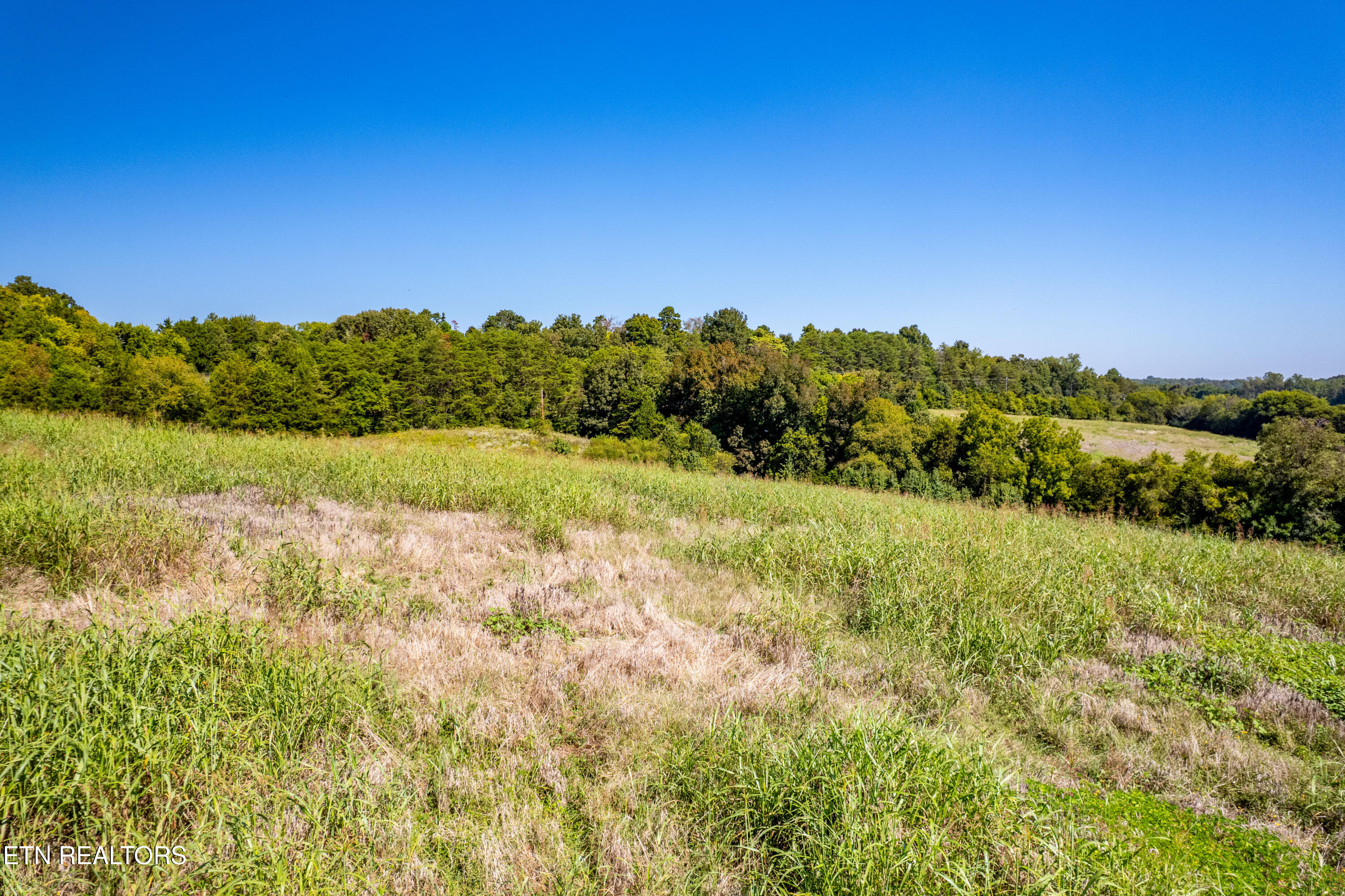 National Campground Road Greenback, TN 37742 - Photo 8 of 35 170NationalCampgroundRd-6