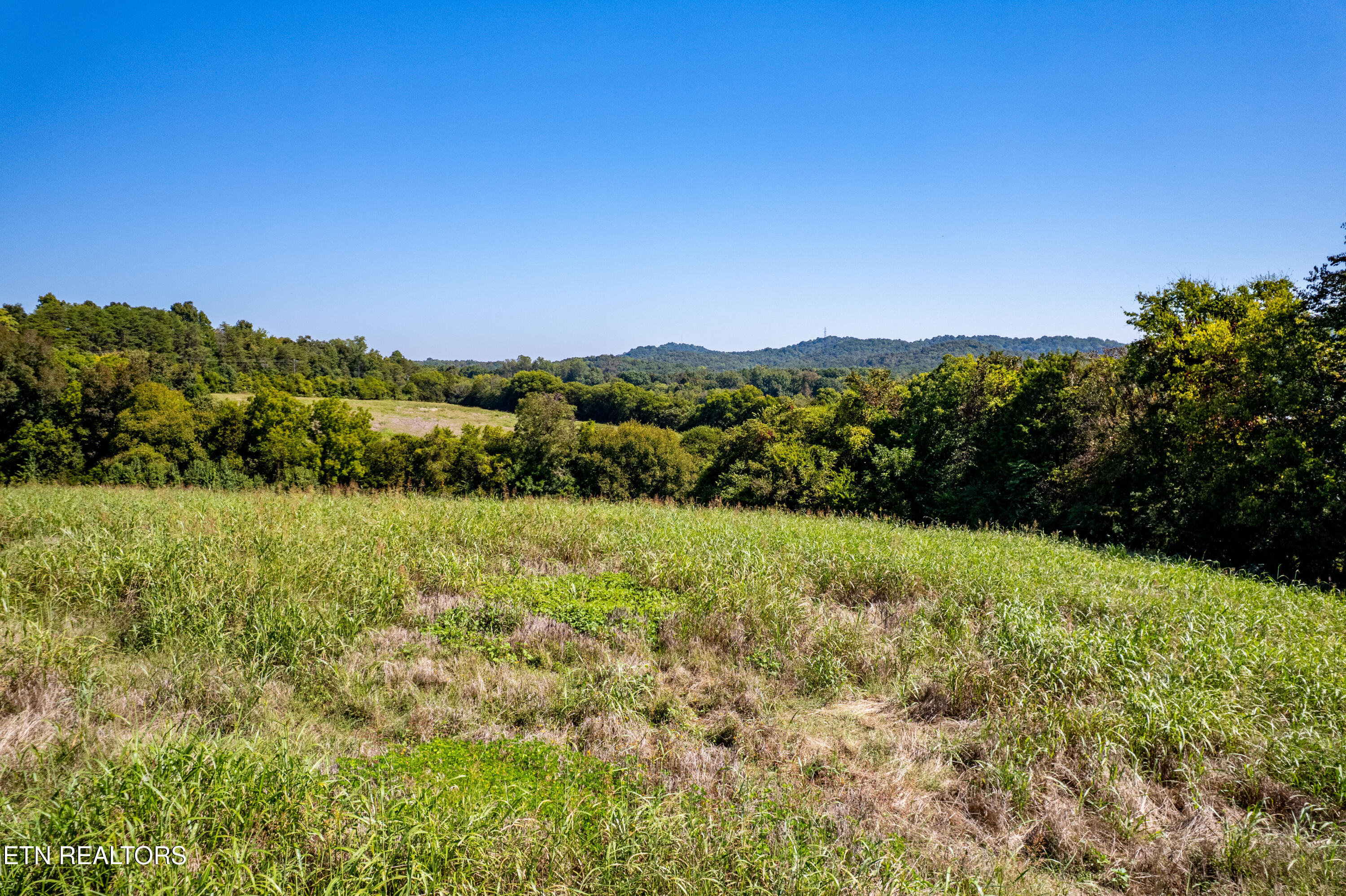 National Campground Road Greenback, TN 37742 - Photo 9 of 35 170NationalCampgroundRd-7