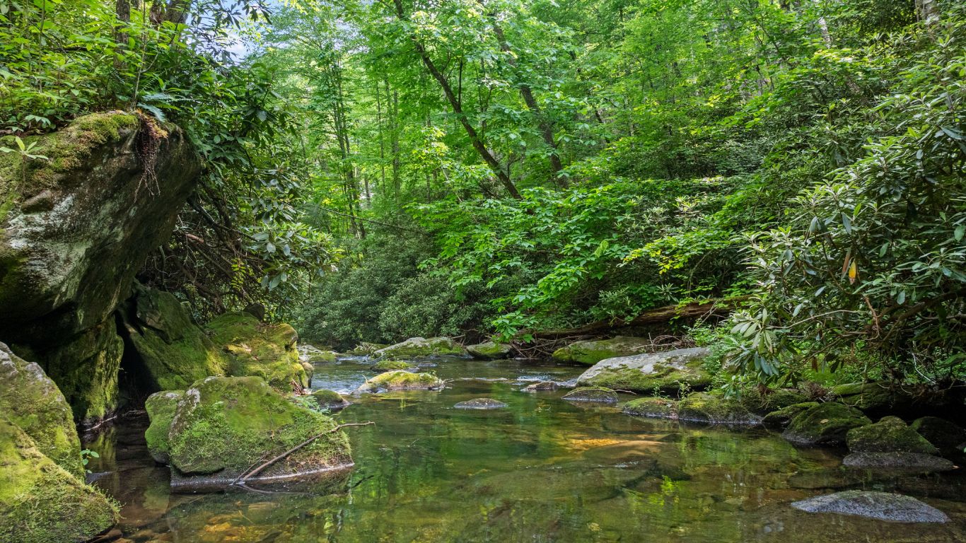 671 Walking Stick Road Highlands, NC 28741 - Photo 48 of 56 Slow moving swimming hole