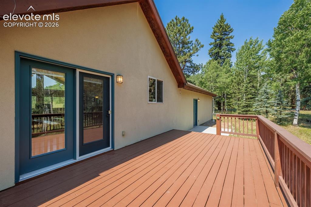392 Aspen Village Road Divide, CO 80814 - Photo 38 of 43
