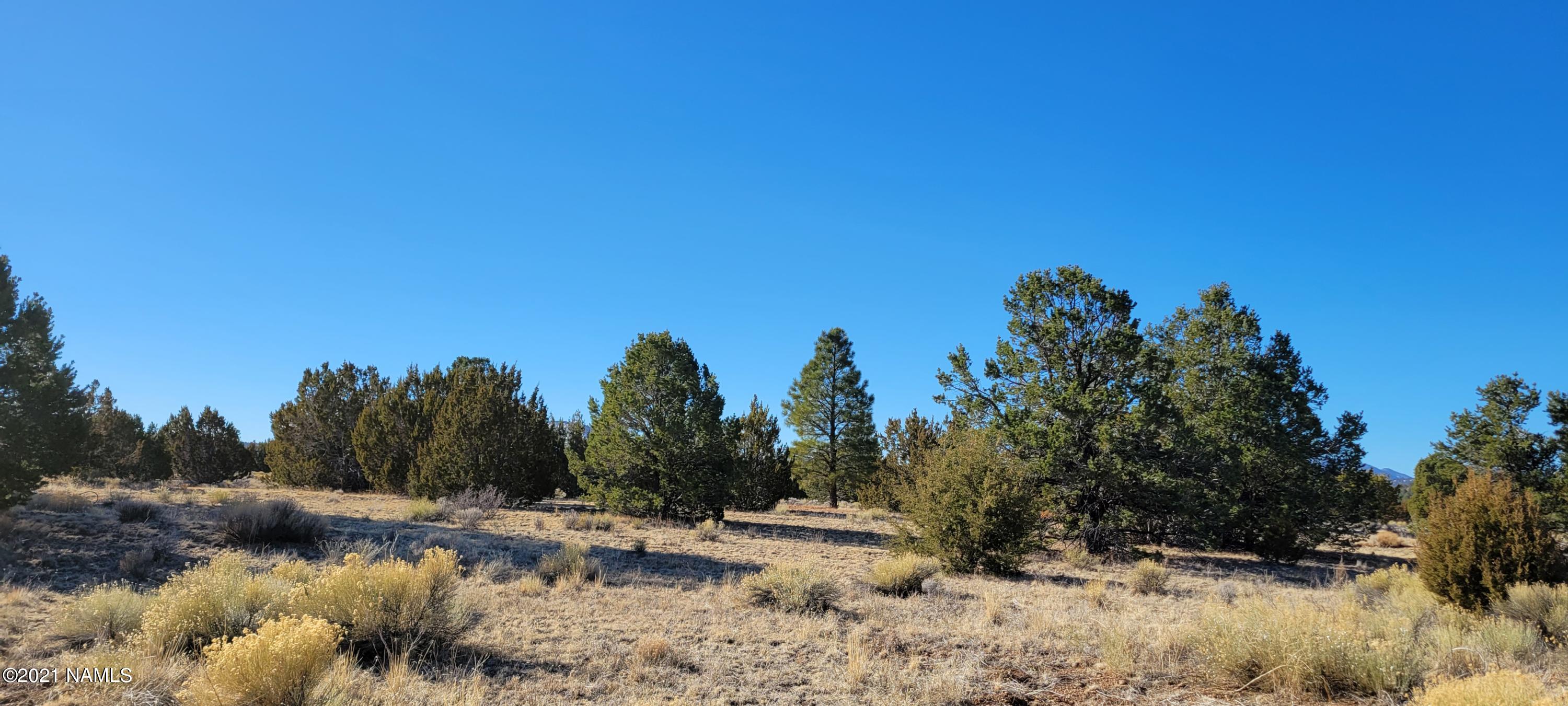 6320 Red Mountain Road Williams, AZ 86046 - Photo 1 of 27 20210303_091915