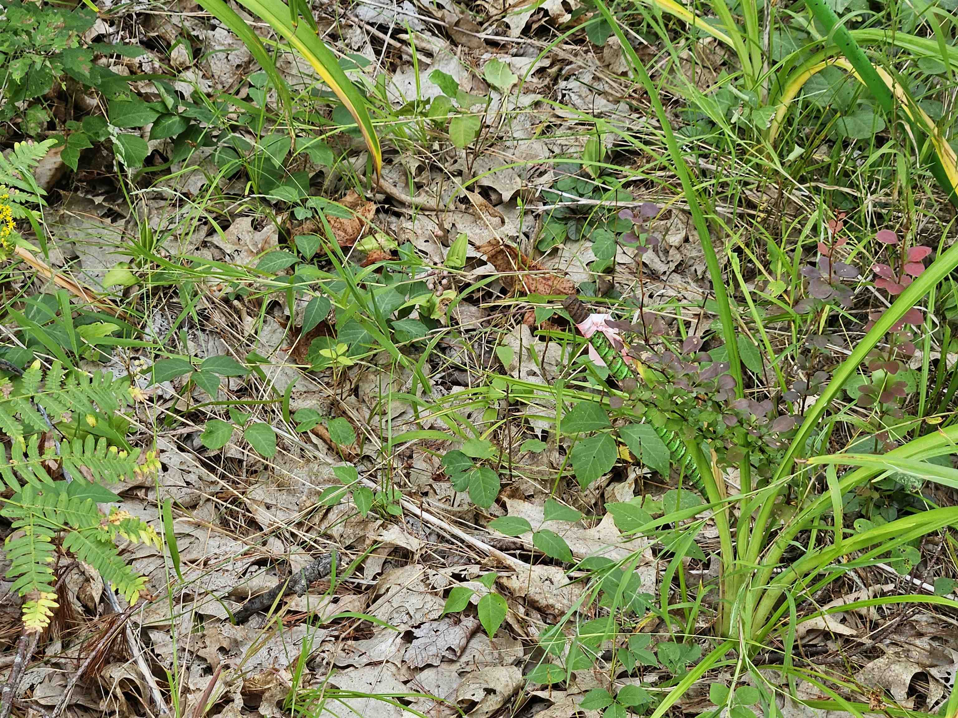 0 Valley Road Woodsville, NH 03785 - Photo 6 of 13 Gallery Image 6