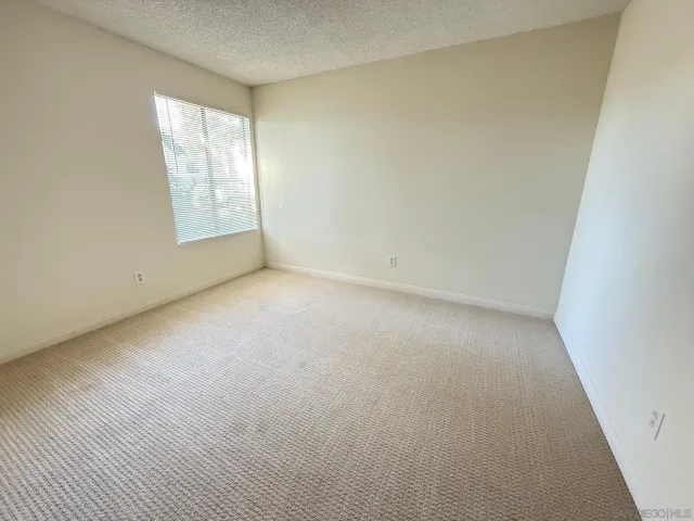 a view of a backyard with plants and a large tree