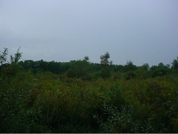 Lot 21 Gardoski Road Kingsley, PA 18813 - Photo 1 of 6 Gallery Image 1