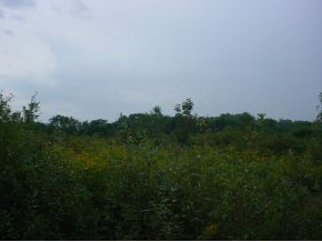 Lot 21 Gardoski Road Kingsley, PA 18813 - Photo 2 of 6 Gallery Image 2