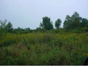 Lot 21 Gardoski Road Kingsley, PA 18813 - Photo 3 of 6 Gallery Image 3