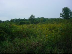 Lot 21 Gardoski Road Kingsley, PA 18813 - Photo 4 of 6 Gallery Image 4